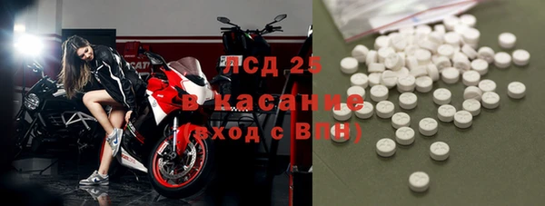 стафф Алексин