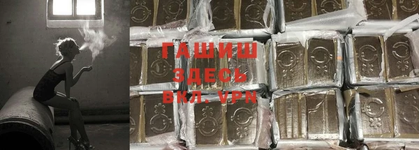 стафф Алексин