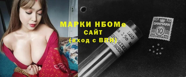 стафф Алексин