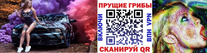 Псилоцибиновые грибы Cubensis  купить   Новоалтайск 