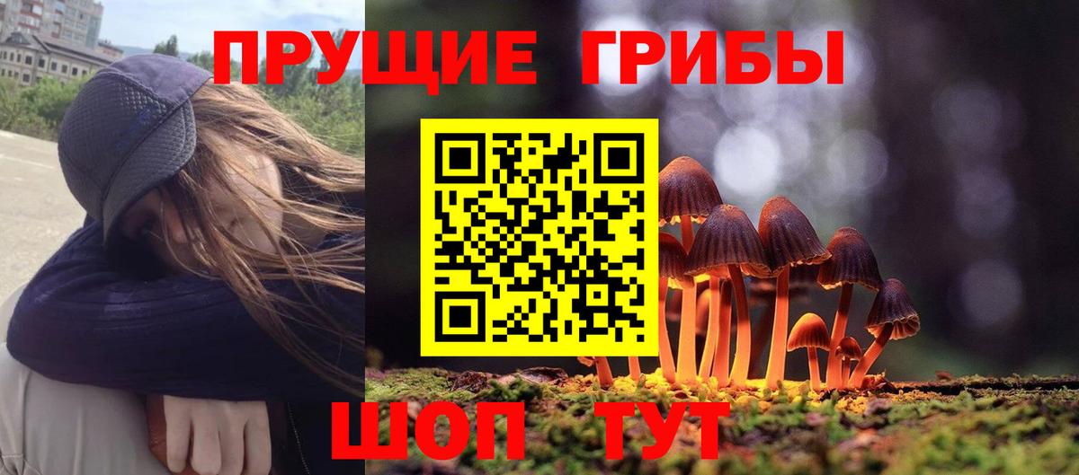 Псилоцибиновые грибы ЛСД Новоалтайск