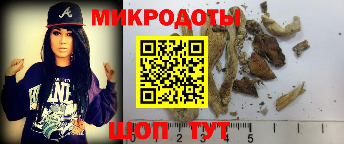 Псилоцибиновые грибы GOLDEN TEACHER  Вход с VPN  Новоалтайск  Псилоцибиновые грибы Psilocybine cubensis 